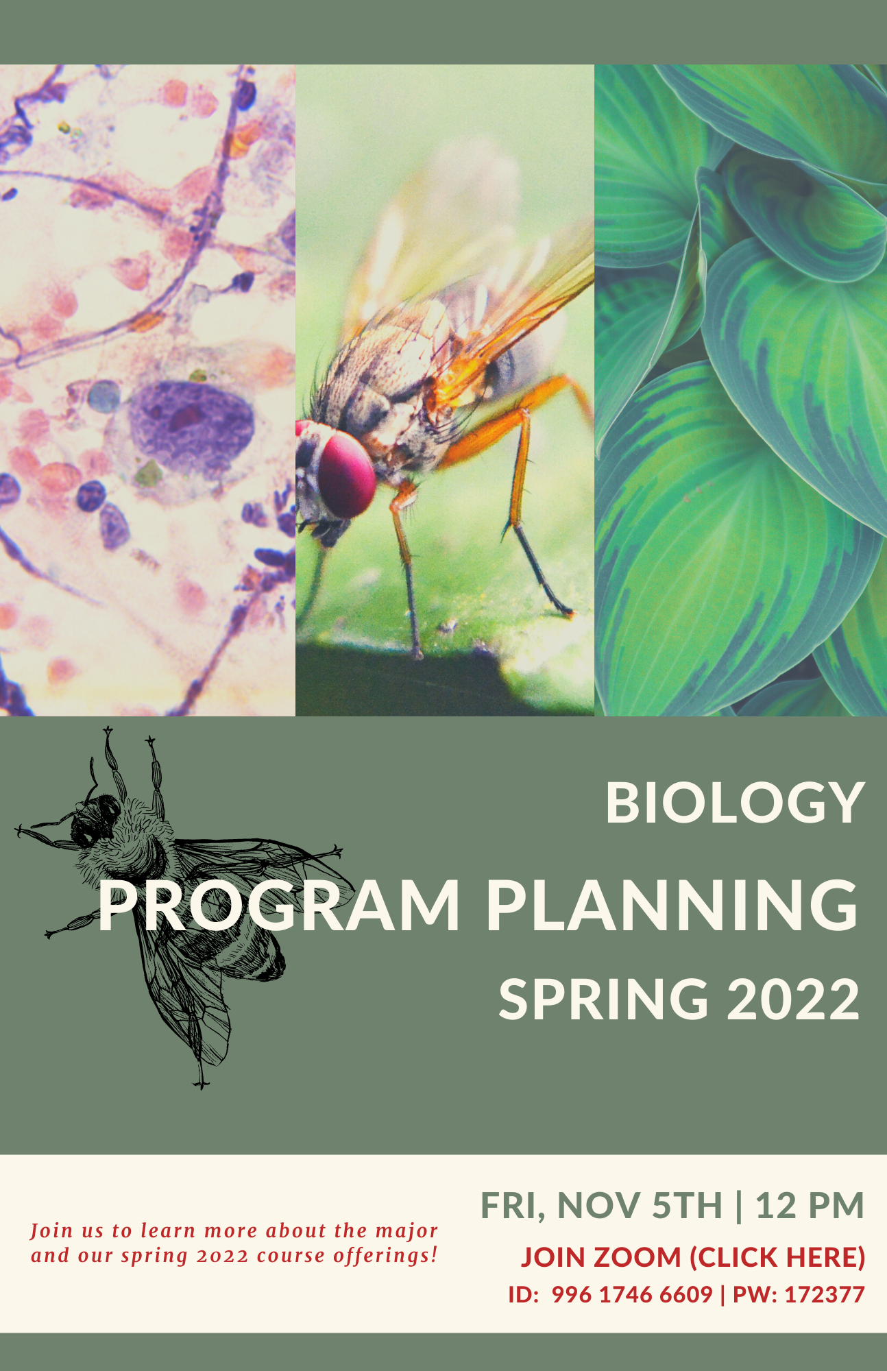 Biology Program Planning Spring 2022 Flyer