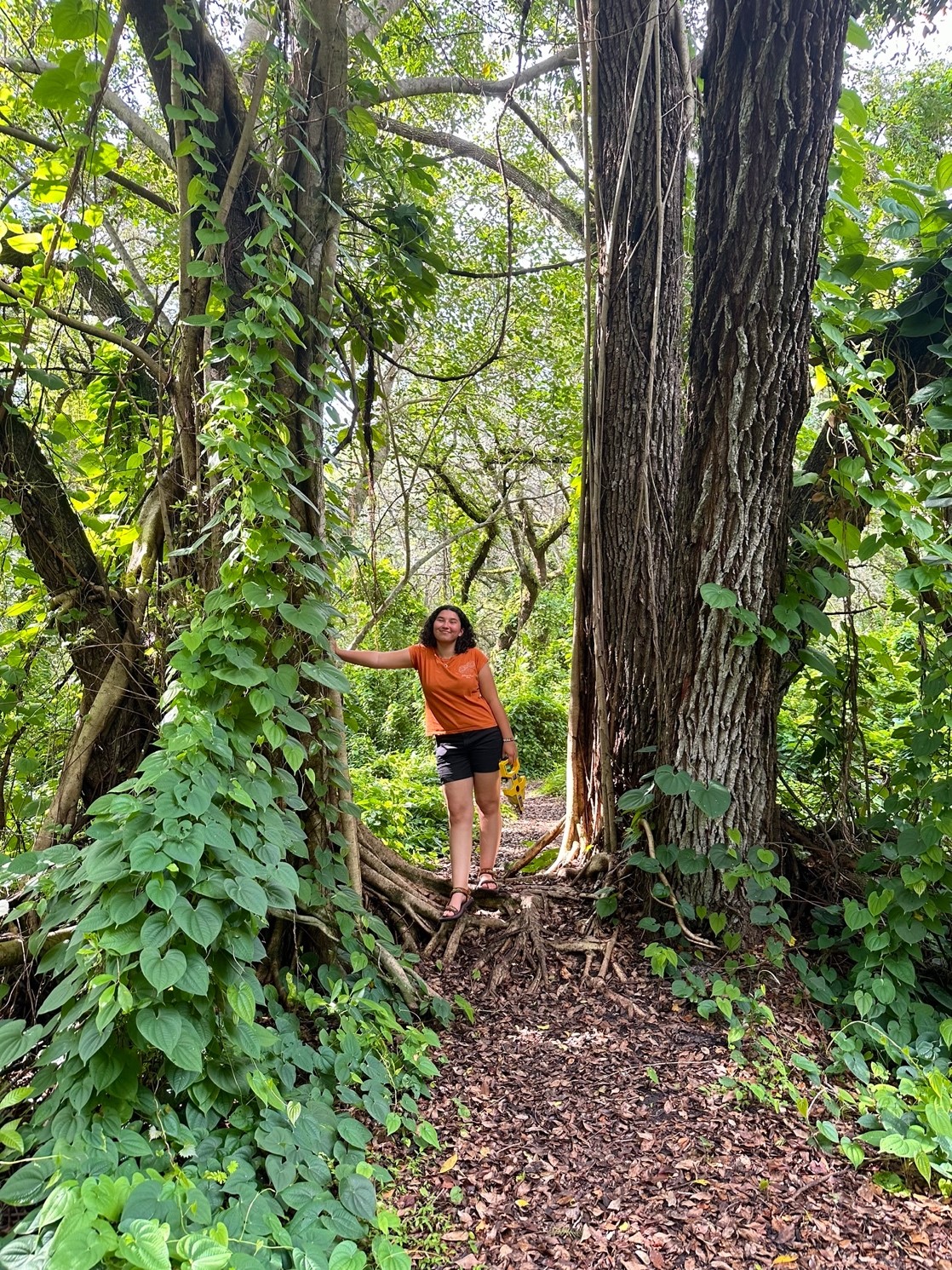 Nadia stands next to a fig tree