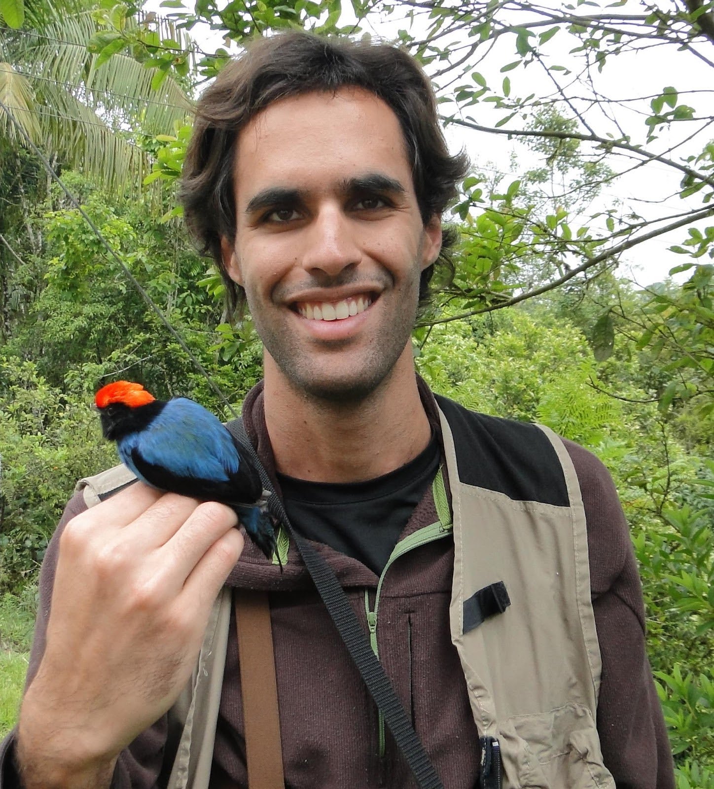 rafael marcondes full