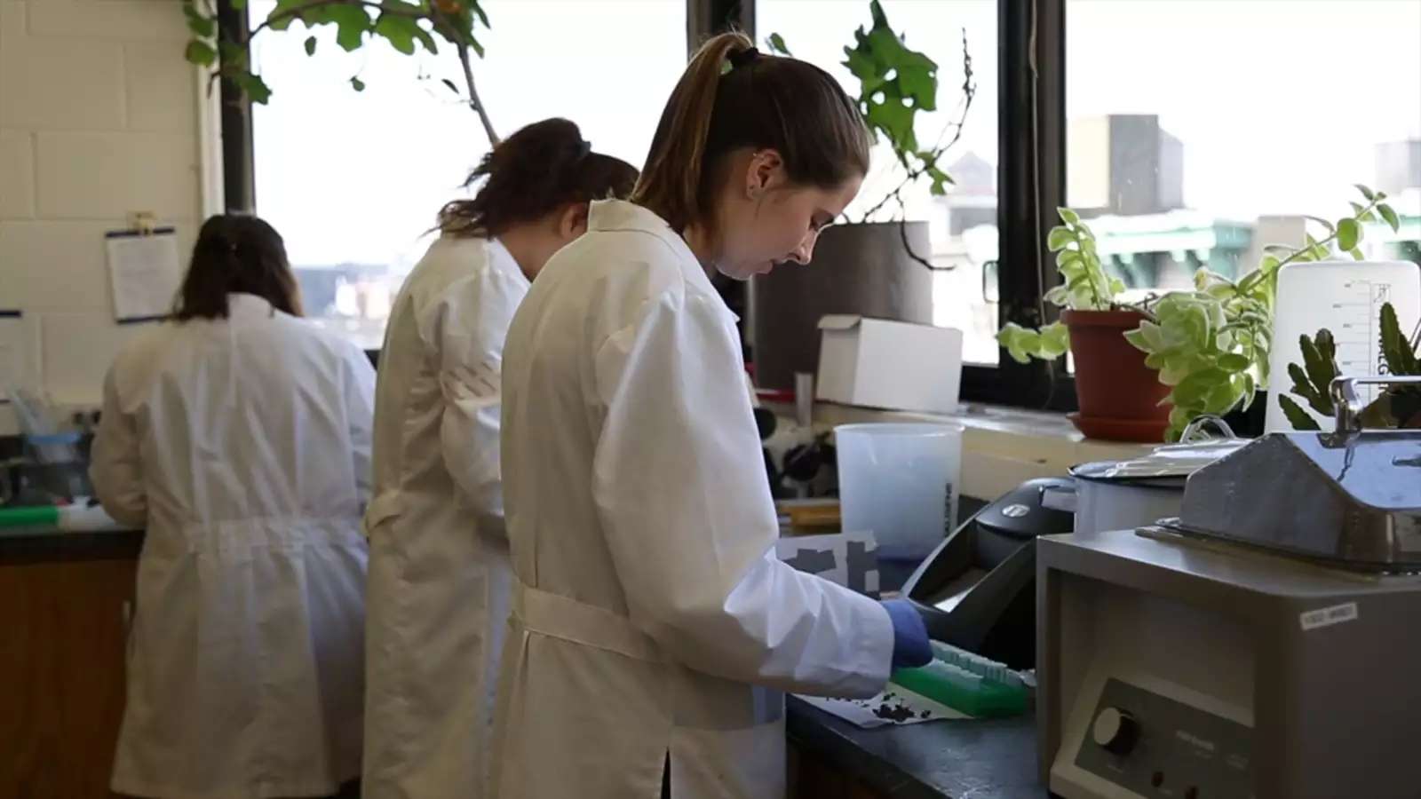 Photograph of Students working in a lab with lab coats on