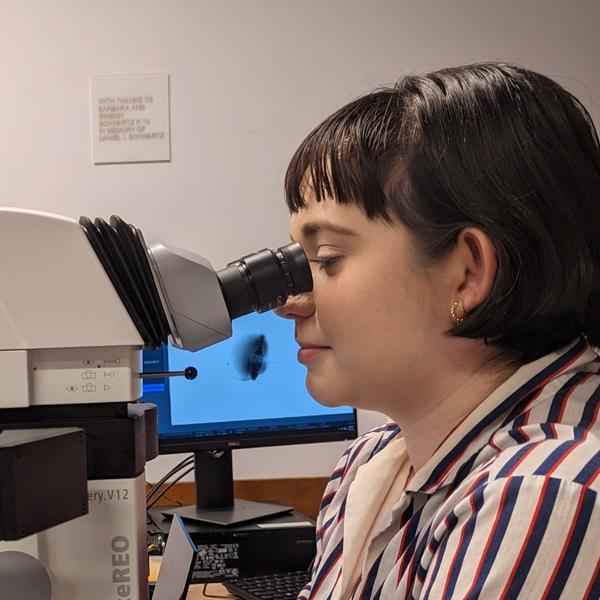 A Barnard student peers into a microscope - credit to the Corradino Lab