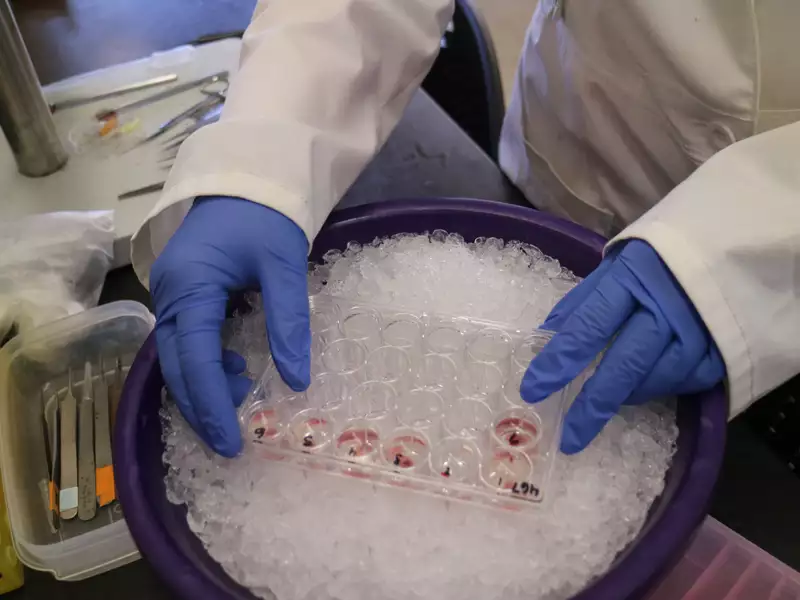 Abby Ryckman in Lab 04
